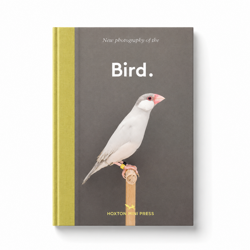 Hoxton Mini Press Bird.