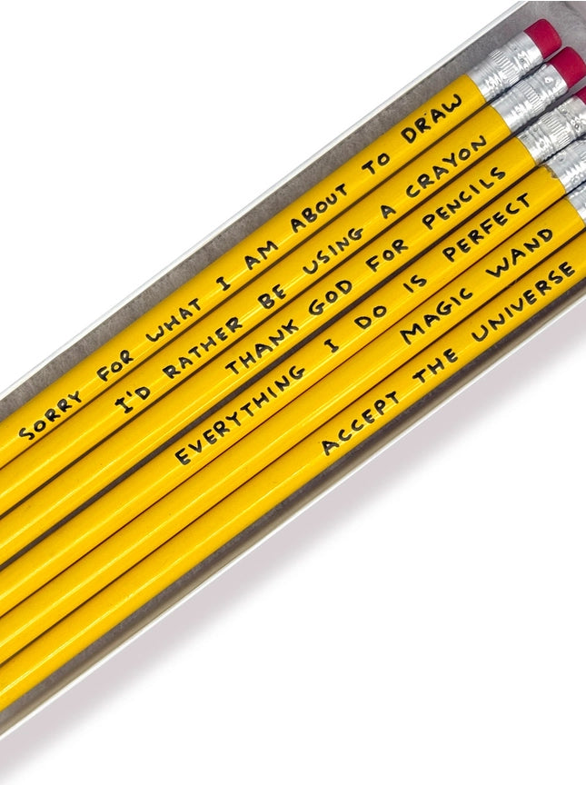 Funny Gift - David Shrigley Pencil Box - 6 Designs (Set 3)