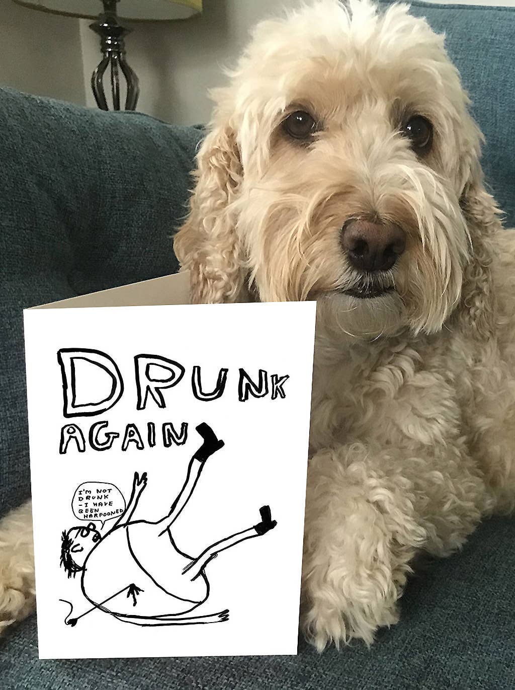 Funny Greetings Card By David Shrigley - Drunk Again
