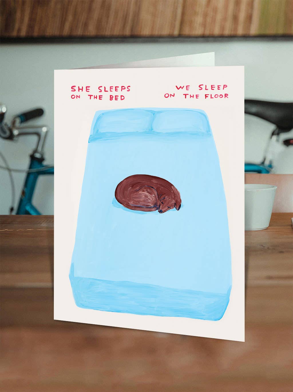 Funny Greetings Card By David Shrigley - Sleep On The Bed