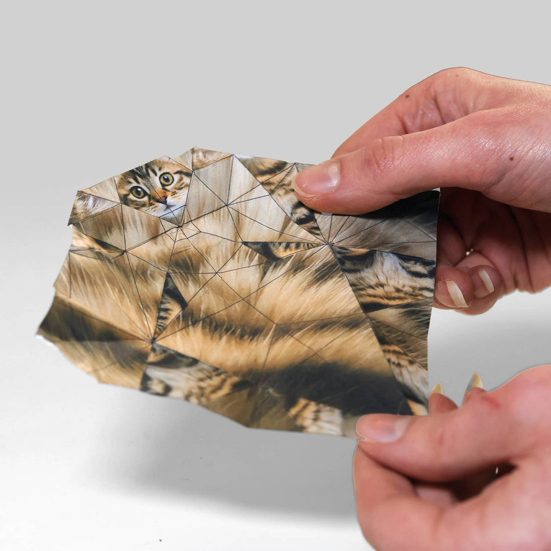 Paper Cats | Perfect for Cat Lovers | Cute DIY Origami Kit