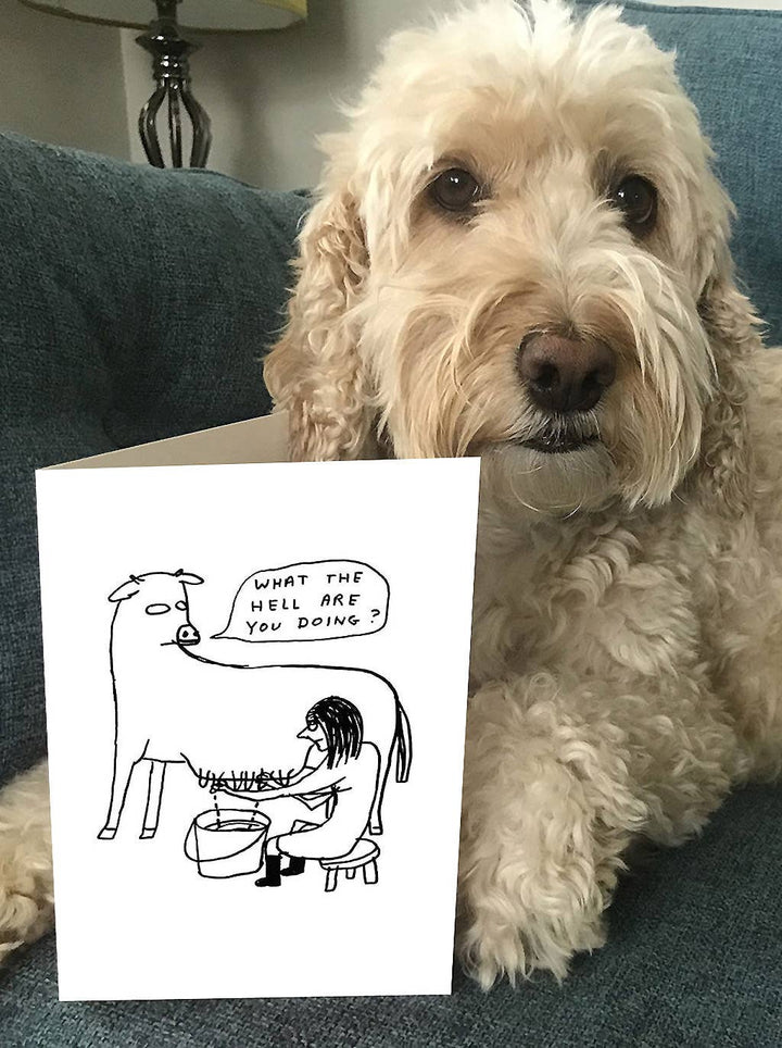 Funny Greetings Card By David Shrigley - What The Hell