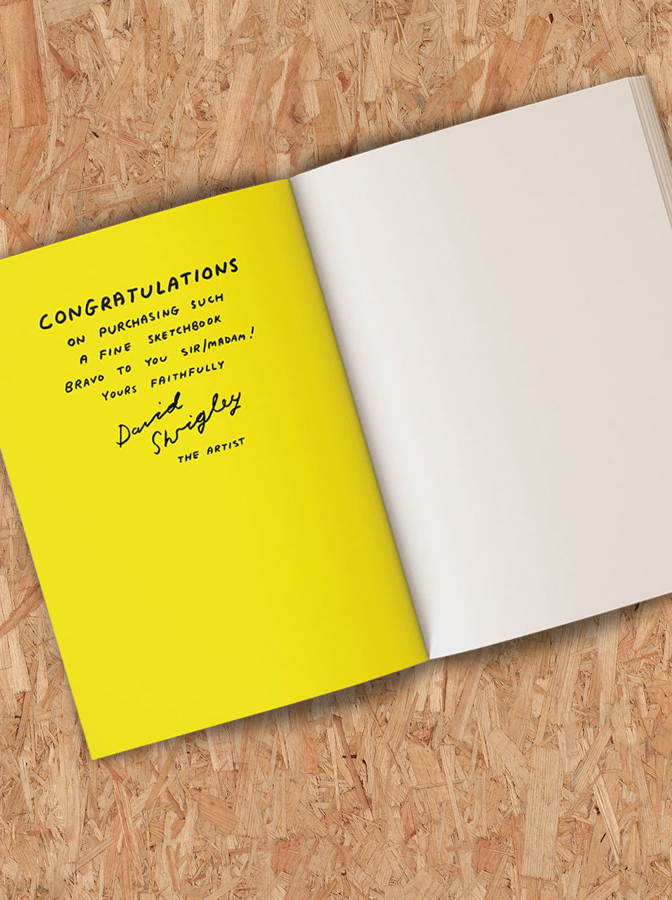 Funny Gift Artists Sketchbook By David Shrigley - My Artwork Is Terrible
