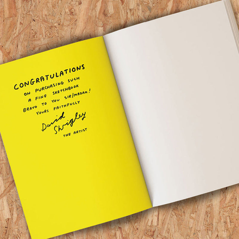 David Shrigley Funny My Artwork Is Terrible Gift Artists Sketchbook