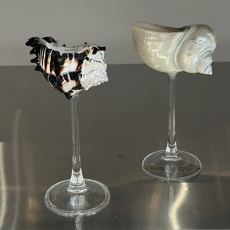 Shell Champagne Glass With Stem