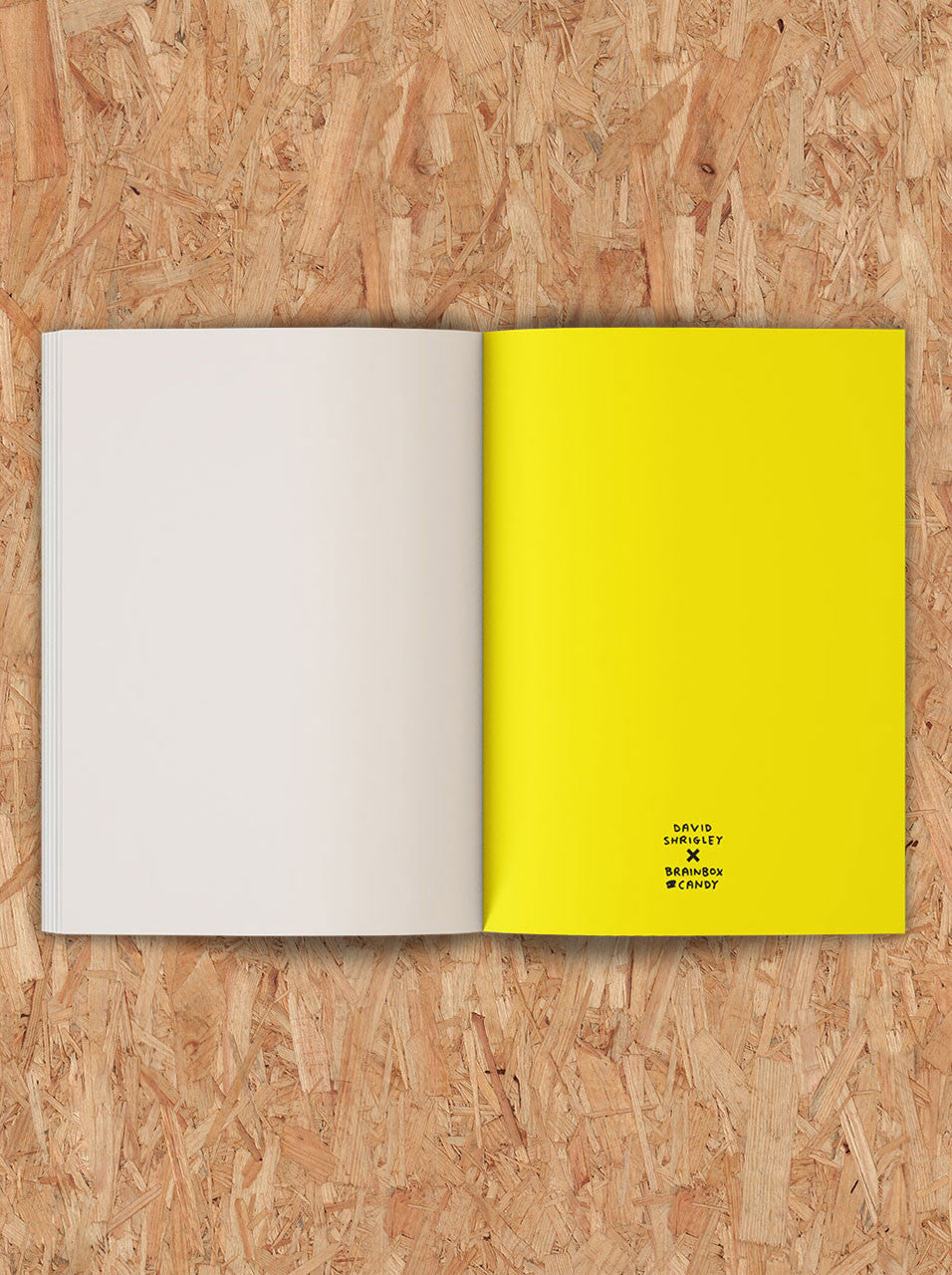 Funny Gift Artists Sketchbook By David Shrigley - My Artwork Is Terrible