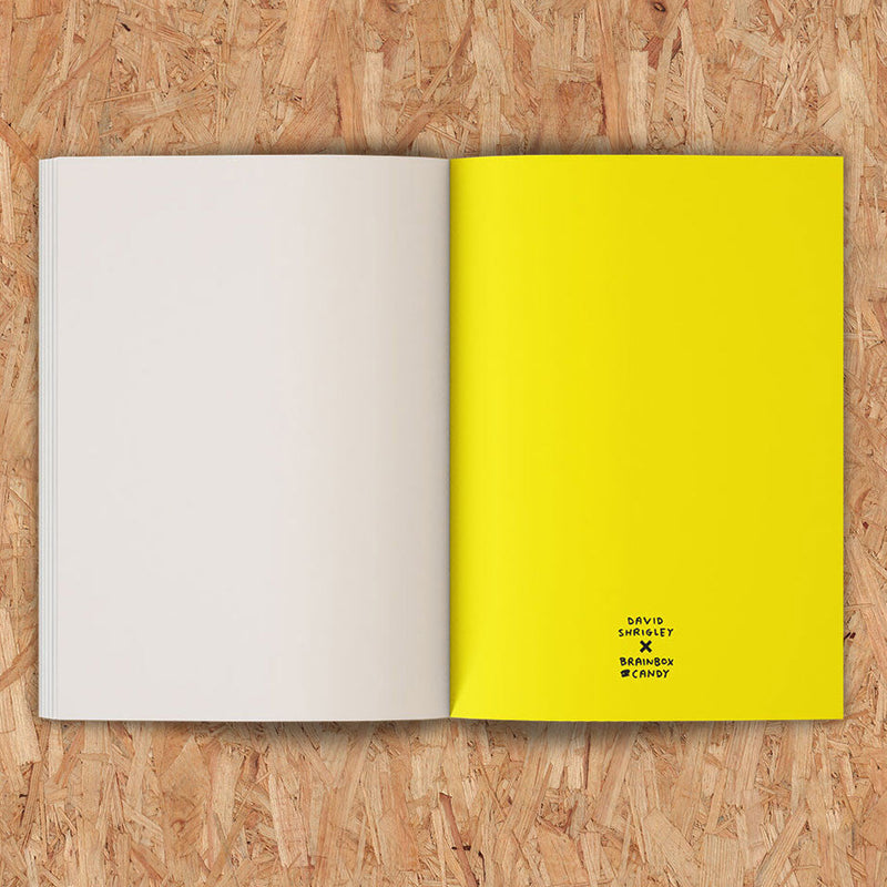 David Shrigley Funny My Artwork Is Terrible Gift Artists Sketchbook