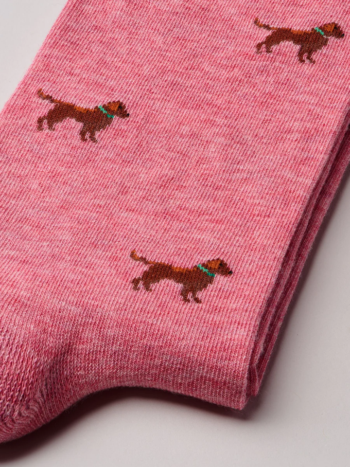 The Friend - by The London Sock Exchange