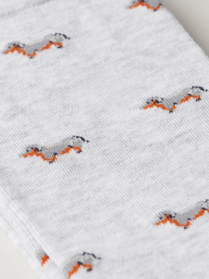 The Pooch - by The London Sock Exchange