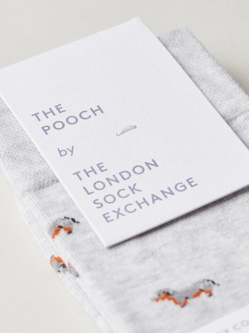 The London Sock Exchange The Pooch